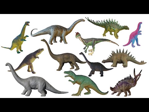 Jurassic Dinosaurs 2 - Brontosaurus, Supersaurus \u0026 More - The Kids' Picture Show (Fun \u0026 Educational)