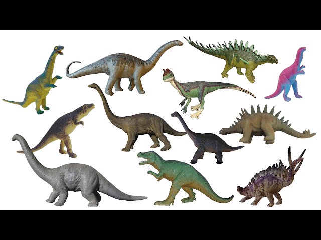 Jurassic Dinosaurs 2 - Brontosaurus, Supersaurus & More - The Kids' Picture Show (Fun & Educational) class=