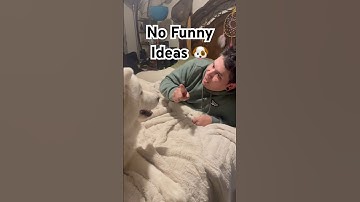 Better Not Get Any Ideas