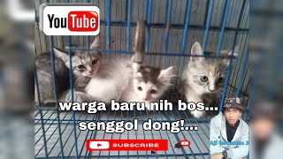 warga baru nih bos... senggol dong!.. #Ajifenando2