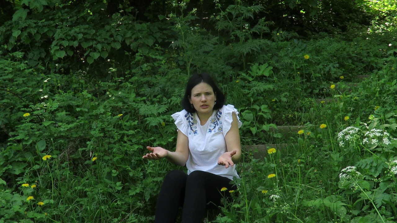 NemzetiVERSeny - 2018 - Versvideó