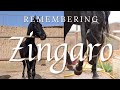 Remembering Zingaro. Some scenes may be upsetting. Tenerife Horse Rescue
