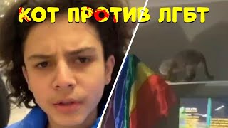 Кот Выбрасывает флаг ЛГБТ | Альфа Пацан Пикапит | Сборник Мемов