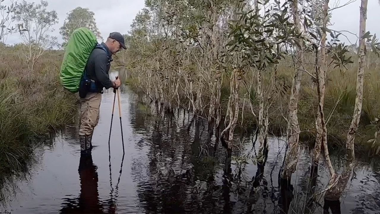Walking Into Weather | The Cooloola Great Walk