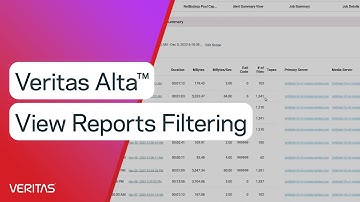 Veritas Alta™ View Reports Filtering