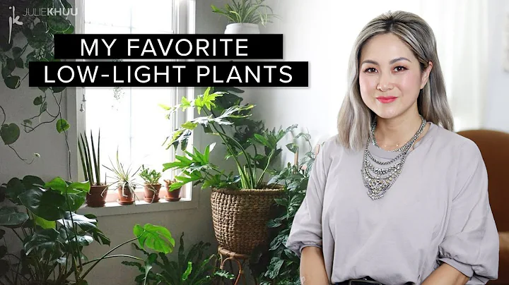 30 Favorite Low-Maintenance LOW LIGHT INDOOR PLANT...