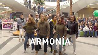 Flash Mob Cruz Verde Unicentro