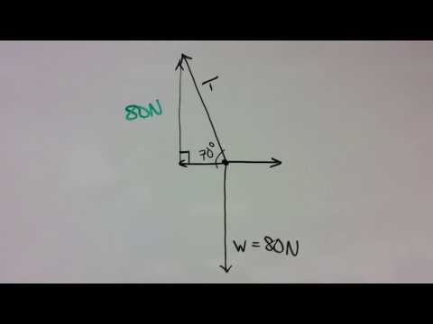 Static Equilibrium Hanging Strings Problem