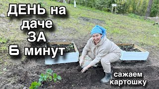 Сажаем картошку| стеллаж для сарая| уход за садом