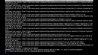 Celebrity PraPR: Practical Program Repair via Bytecode Mutation (demo) Wealth