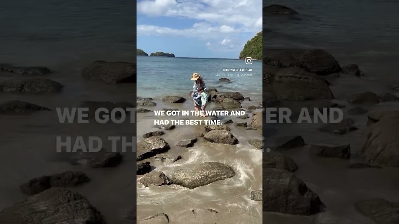 Dedicated and hands-on real estate agent in New York or Connecticut