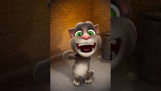 Download Lagu Kucing MP3 Download Lagu Kucing MP3