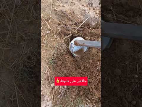 علبة تونة في جبل 👌👍#nature