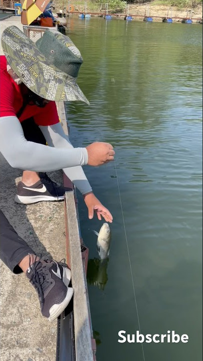Fishing in South Korea