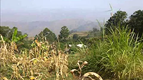 Cameroon
