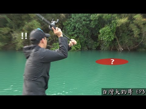 肆虐全台，淡水魚中的霸主！【台灣大釣哥 EP3】魚虎 ft.Omega.謝洸俠 #釣魚 #魚虎 #路亞