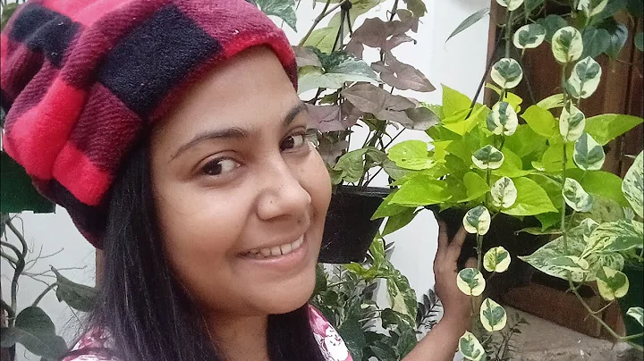 Denu Flowers  & My life 🇱🇰 is live!