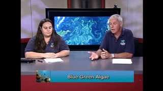 BIO190 Session #01 Fall 2014
