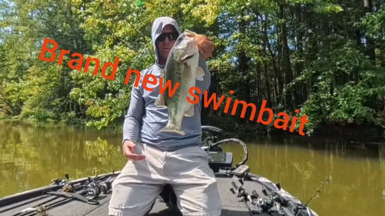 Madotachi Gimikin swimbait first thoughts and impressions along with some fish catches
