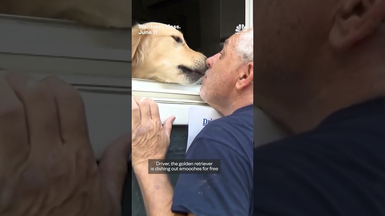 Massachusetts residents visit doggy kissing booth