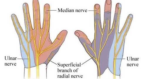 Podcast 571:  Digital Blocks