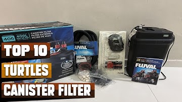 Best Canister Filter For Turtle In 2025 - Top 10 Canister Filter For Turtles Review