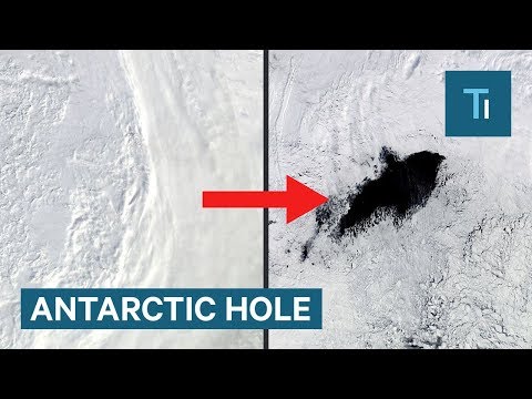 Video: In Antarctica, A Mysterious Hole Has Formed With An Area Of two Moscow Regions - Alternative View