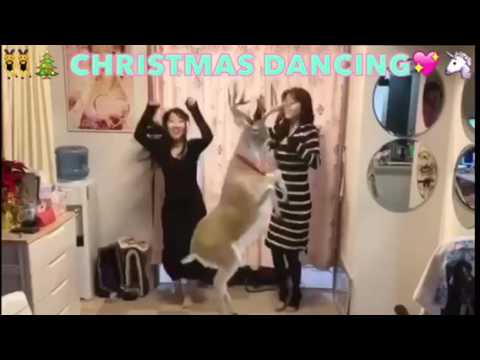 中森あきないMerryX'mas