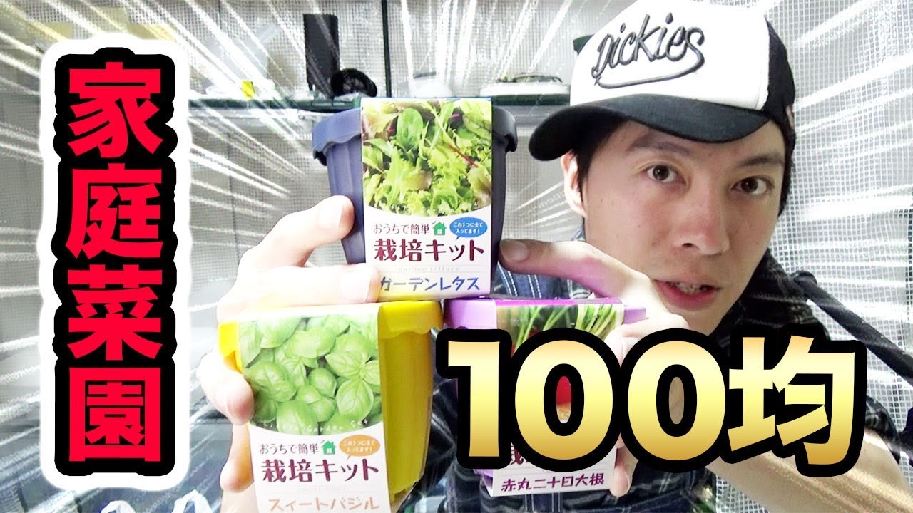 家庭菜園 100均の野菜栽培キットで家庭菜園に挑戦 Youtube