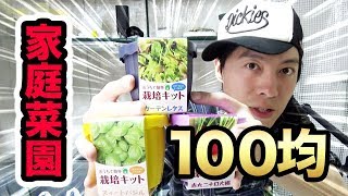 【家庭菜園】100均の野菜栽培キットで家庭菜園に挑戦！