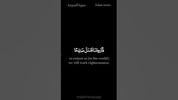 ولو ترى اذ المجرمون ناكسو رءوسهم عند ربهم - #محمد_عبادة - #كروما #سورة_السجدة #حالة_واتس