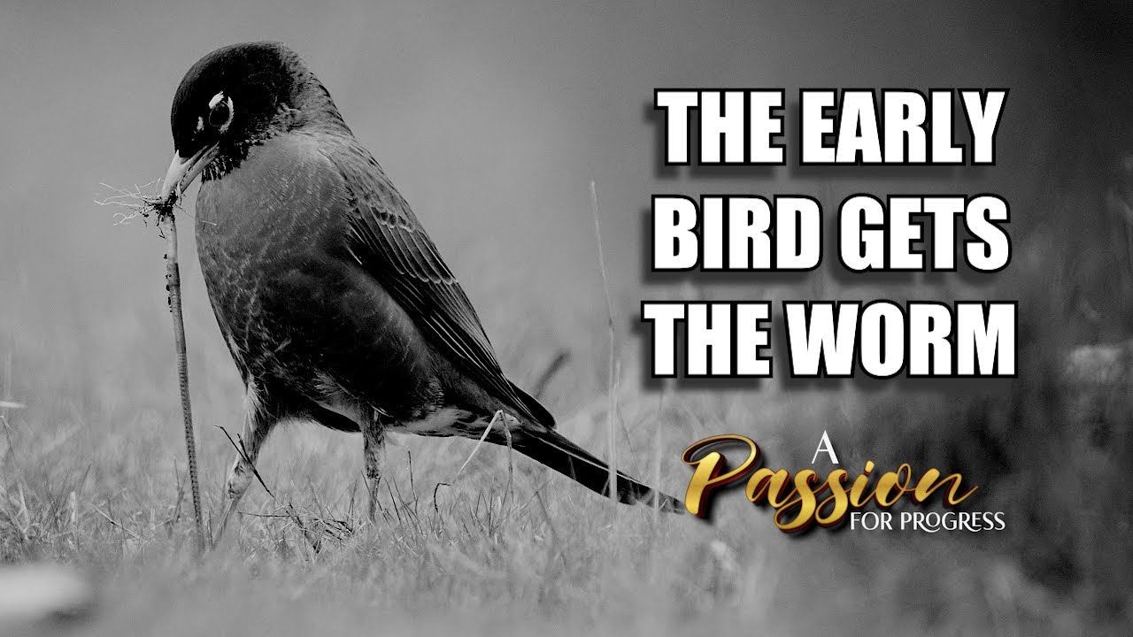 The Early Bird Gets The Worm Motivational YouTube