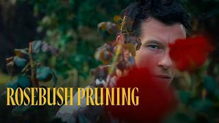Rosebush Pruning - Official Trailer