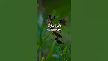 ربي ان ظلمت نفسي عبدالباسط عبدالصمد 