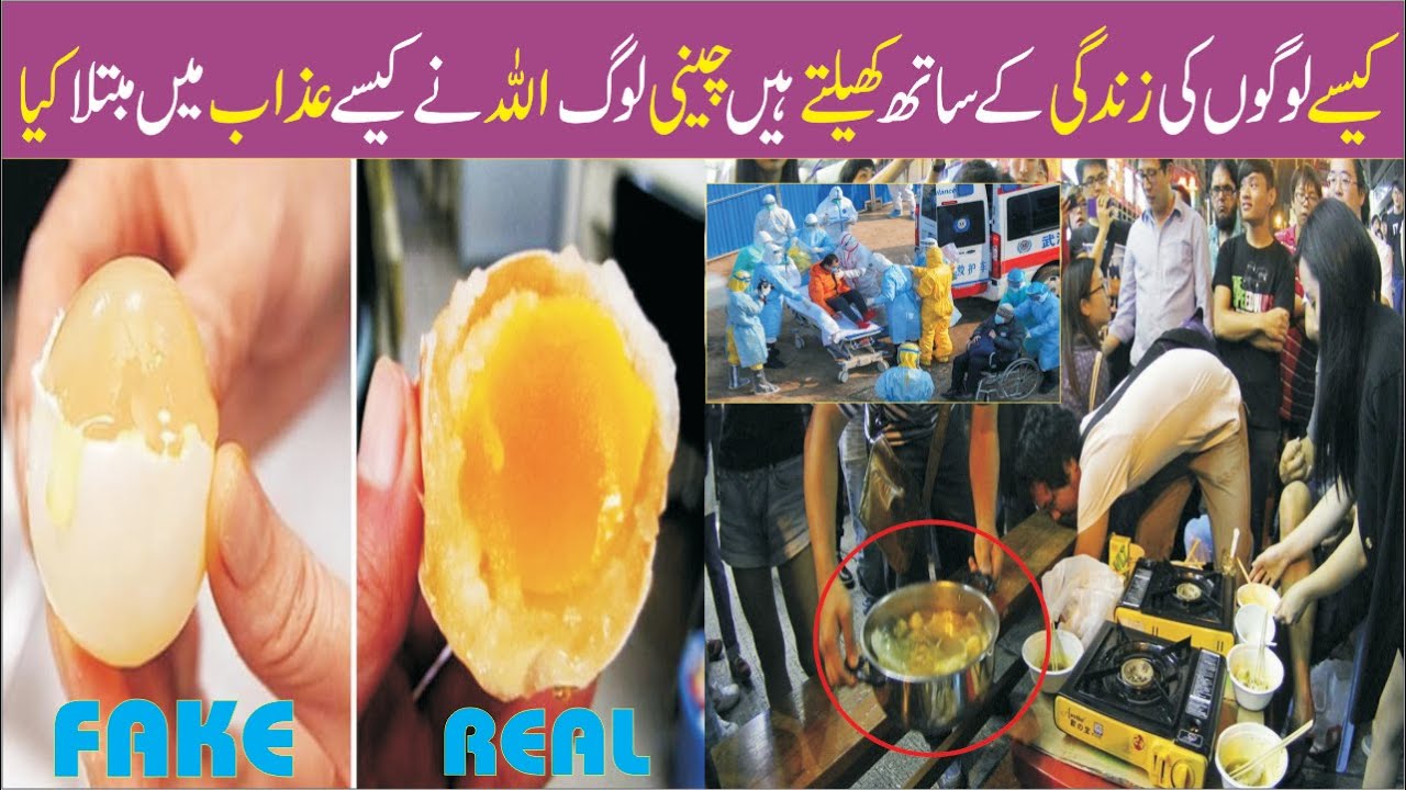 DANGEROUS Chinese FAKE Foods China K Sharamnak Haqaiq Shameful Facts About Fake Chinese Food