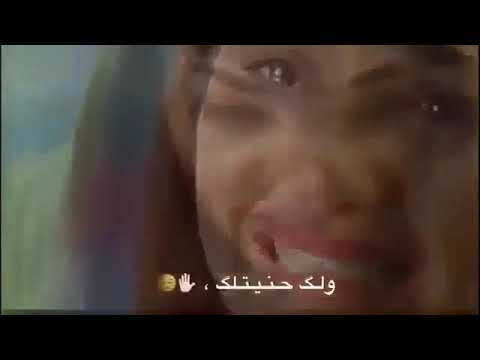 كالوو حبيبك رحل كلت الكلب ويا كالو ماضن يرجع الك كلت الله ويا كالو شعندك آخر حل كلت للمو