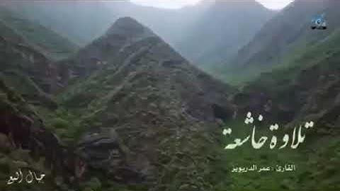 حالات واتساب قرآن تلاوة خاشعة❤️القارئ عمر الدريويز{الله خالق كل شيء وهو على كل شيء وكيل}ستوريات قرآن