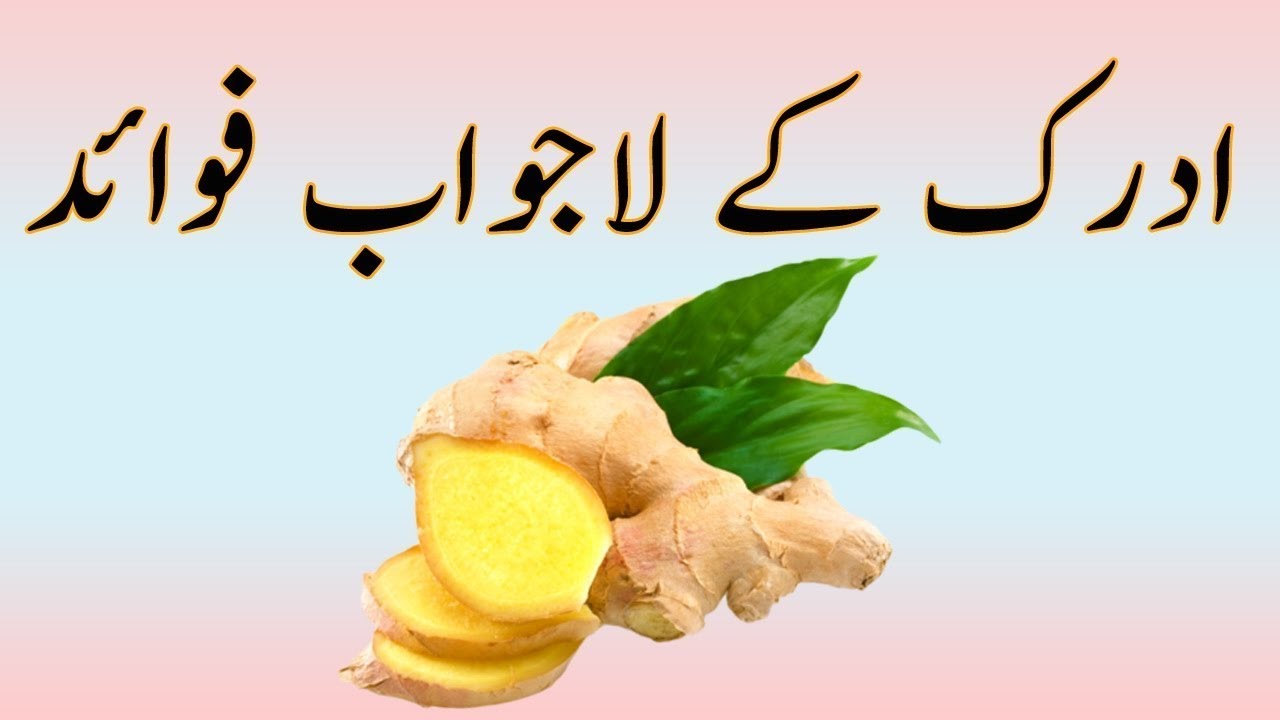 Adrak Ke Fayde Ginger Benefits In Urdu Adrak ke fawaid in madni channel
