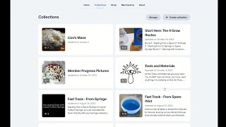 How to Navigate the Kitchen Mycology Course on Patreon