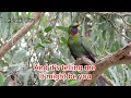 It Might Be You - Stephen Bishop (4k UHDR 60FPs Dolby Stereo Sound and Vision Karaoke Version)