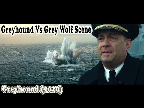 Greyhound Vs Grey Wolf Scene - Greyhound (2020)