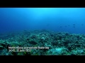 Divers' Survey, West Hawaii