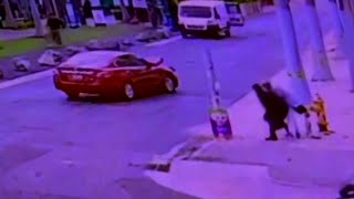 Woman crashes while chasing suspect in Wynwood after vehicle break-in, police say by WSVN-TV 1,155 views 7 days ago 2 minutes, 51 seconds