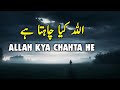 Allah kya chahta he  spiritual quotes compilation  listen the islam qk