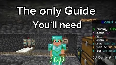The only command guide you’ll need for the donut smp