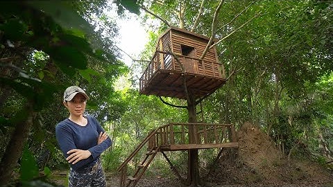 Building a Cozy Shelter under a Tree with a warm clay bed, Hidden dugout Bushcraft, Survival