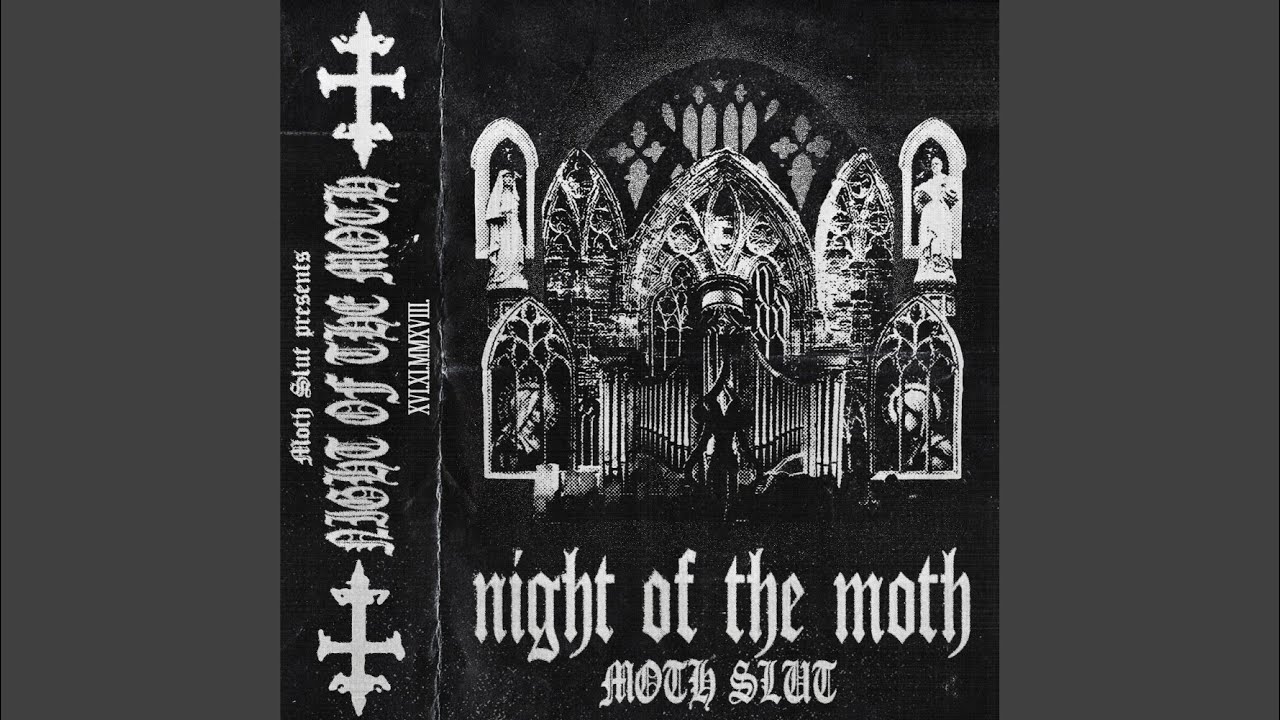Night Of The Moth