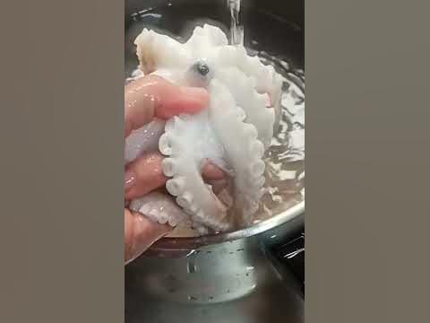 Como limpiar pulpo - YouTube