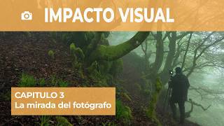 Visual Impact. Chapter 3 - The Photographer's Eye