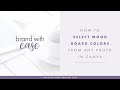 How To Select Mood Board Colors From Any Photo In Canva